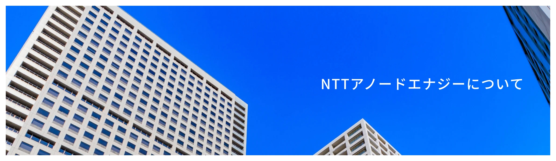 NTTアノードエナジーについて