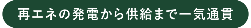 再エネの発電から供給まで一気通貫