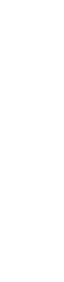 ベーシック領域