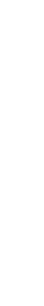 プロフェッショナル領域