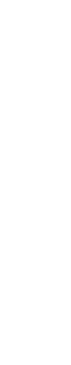 マネジメント領域